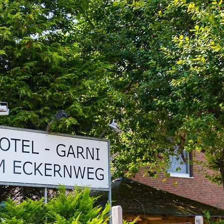 Hotel Garni Am Eckernweg 策勒 外观 照片